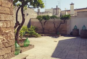 Museo Negroamaro a Guagnano