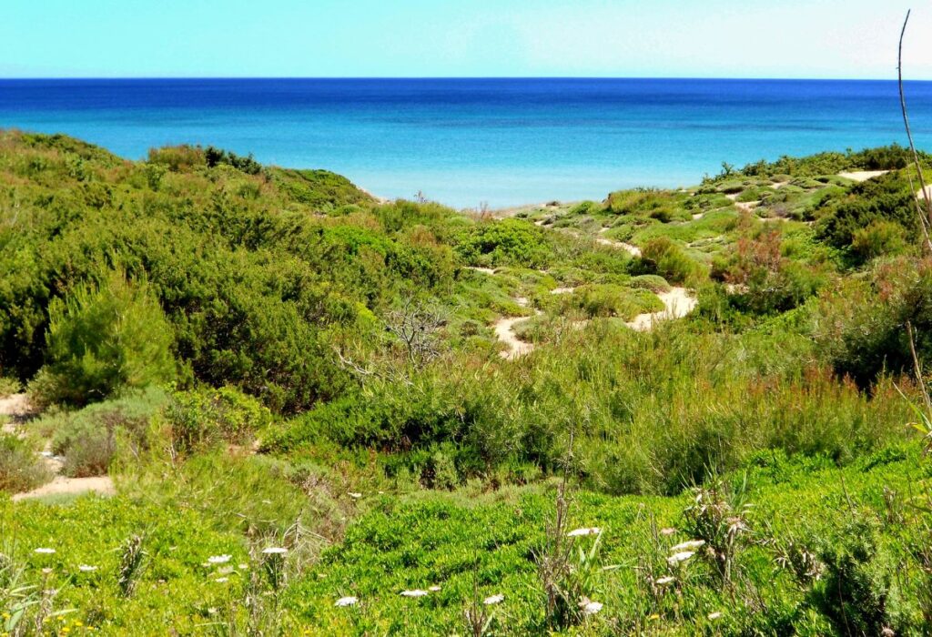 Maruggio borgo Puglia