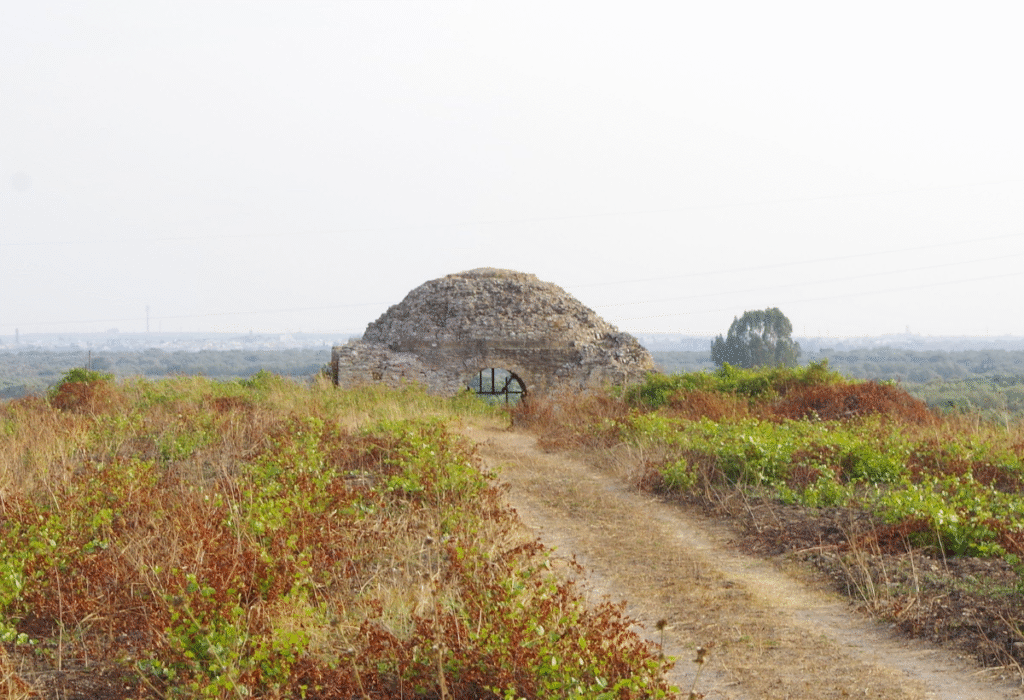 San Donaci borgo Puglia