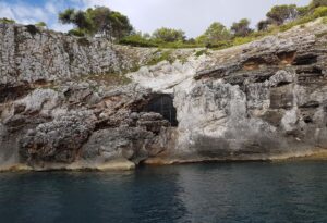 Scoperta in Puglia, l'ultimo leone delle caverne europeo