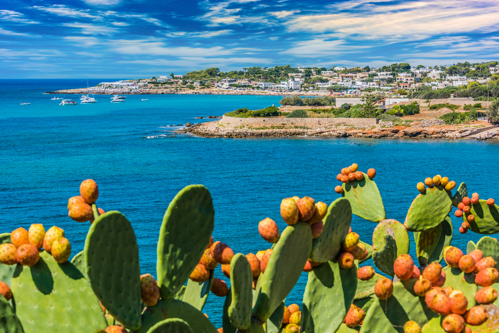 Vacanze detox nel Salento: 5 attività per ritrovare equilibrio e leggerezza