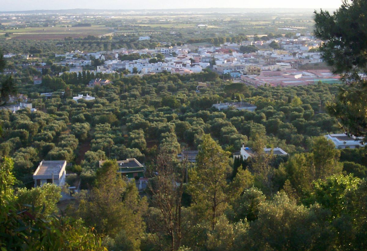 Casarano borgo Puglia