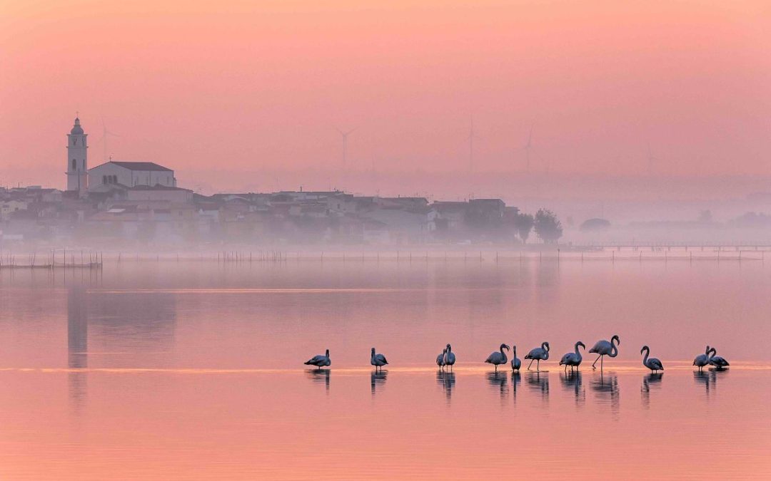 Lesina, il paradiso dei pescatori in Puglia