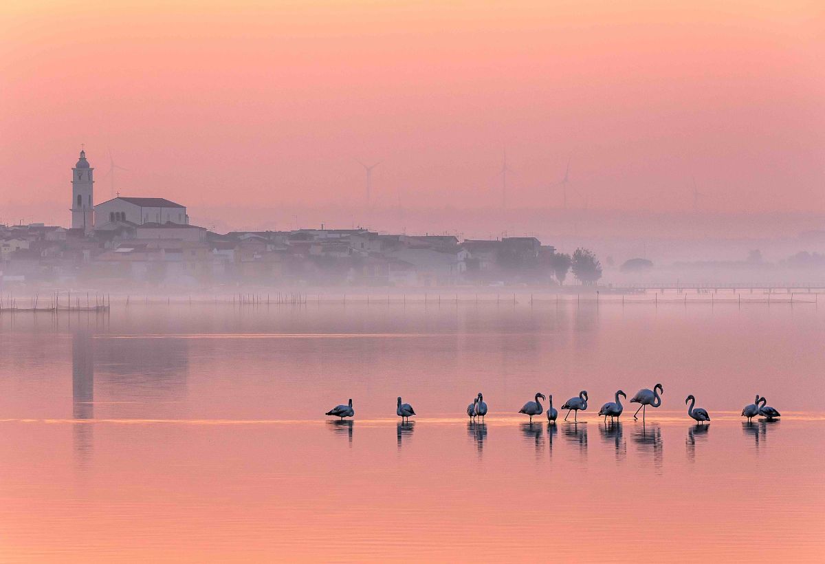 Lesina borgo Puglia