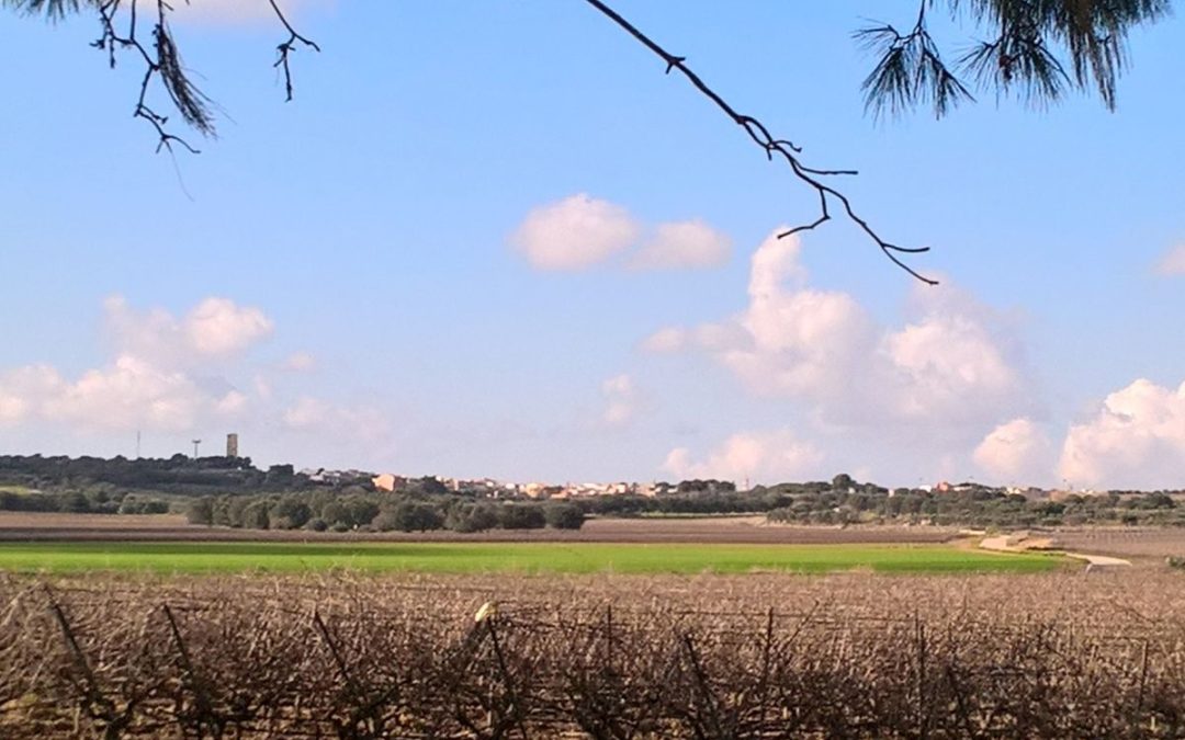 Roccaforzata, consigli utili per scoprire l’antico borgo