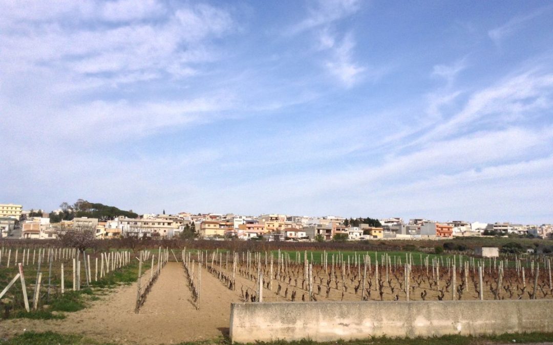 San Marzano di San Giuseppe, borgo dall’animo albanese