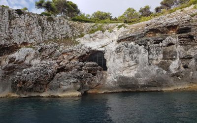 Scoperta in Puglia, l’ultimo leone delle caverne europeo