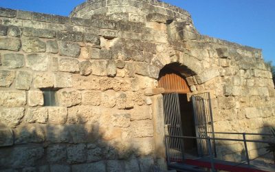 Torre Santa Susanna, un centro strategico per le proprie visite