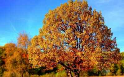 Salento in autunno: colori, sapori e tranquillità