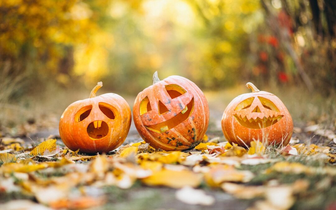 Halloween è nato in Salento? Le antiche tradizioni che ispirano la festa