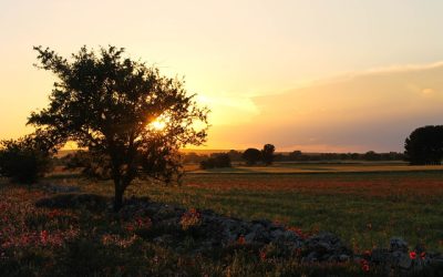 5 itinerari enogastronomici nel Salento tra sapori e tradizioni