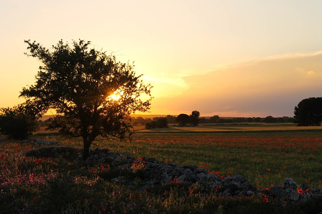 masseria pugliese