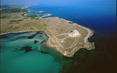 Riserva Naturale Torre Guaceto: come raggiungere questo paradiso