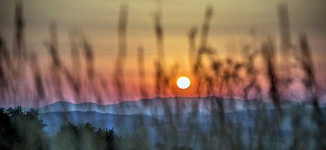 alba